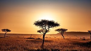 Dawn Kenya Image by Dan Sudermann from Pixabay 