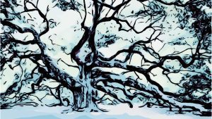 Tree January Winter Image by Amy from Pixabay 