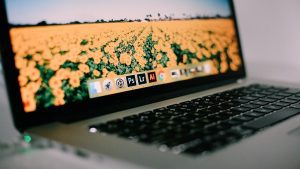 Adobe (credit card/Pixabay/StockSnap)