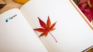 Pigment Maple Leaf Canada Image by GuHyeok Jeong from Pixabay 