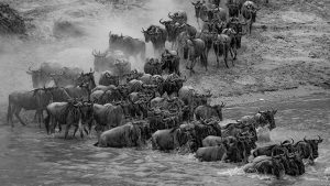 getty-images-IIdBO9jzHNo-unsplash