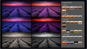(Credit image/Adobe Inc)