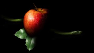 Apple Image by Briam Cute from Pixabay