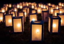 Celebrus lights up conversion rates for eRetailer Lights Lighting Image by Jill Wellington from Pixabay