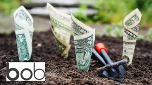 Funding HiBob - Image by TheDigitalWay from Pixabay