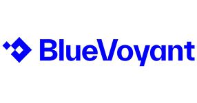 BlueVoyant---2023