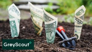 Greyscout Funding Image by TheDigitalWay from Pixabay