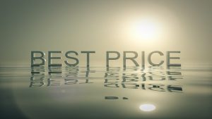 PriceSpider (credit image/Okan Caliskan)