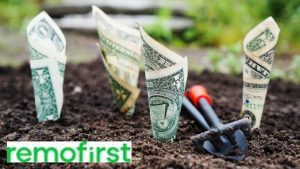 Remofirst Funding Funding Image by TheDigitalWay from Pixabay