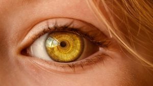 Eye Observability - Image by Richard Cejas from Pixabay