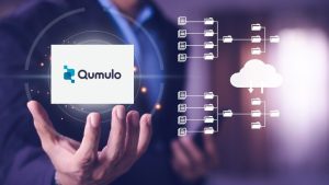 Qumulo Storage ANQ Cold Image by Breenda Thompson from Pixabay