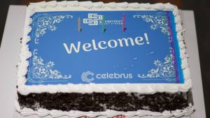  Celebrus India Cake