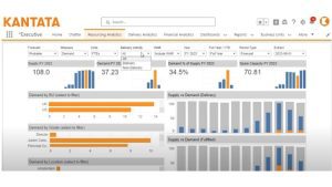 Kantata Resourcing Analyzer