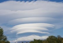 Vortex 6 adds new tools for Cisco Partner to better manage their partnership Vortex Clouds Image by Наталья Коллегова from Pixabay