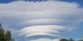 Vortex 6 adds new tools for Cisco Partner to better manage their partnership Vortex Clouds Image by Наталья Коллегова from Pixabay