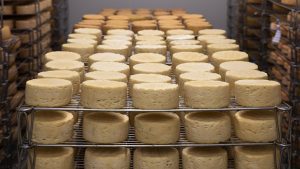 ReposiTrak (credit image/https://pixabay.com/photos/cheese-refining-milk-farm-cow-5125021/AnthonyArnaud)