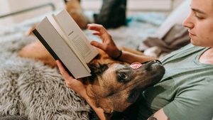 How to make your Word doc or Excel sheet Read-Only - Published on October 7, 2022 Licensed under the Unsplash+ License