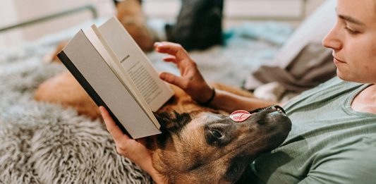 How to make your Word doc or Excel sheet Read-Only - Published on October 7, 2022 Licensed under the Unsplash+ License