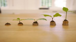 Payments Association (Credit image/https://pixabay.com/photos/growth-credit-cost-interest-charges-4518406/RoboAdvisor)
