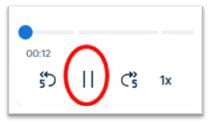 Pause button