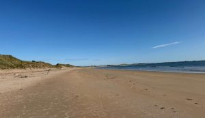 Beadnell Bay, Northumberland (c) 2025 S Brooks
