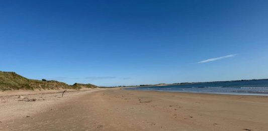 Beadnell Bay, Northumberland (c) 2025 S Brooks