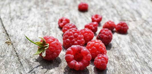 News from the week beginning 28th July 2025 - Image by Juno Bloom from Pixabay https://pixabay.com/photos/raspberry-pink-wood-summer-july-4346946/