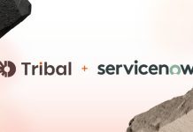 Tribal Launches ServiceNow AI Support