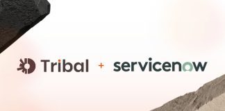 Tribal Launches ServiceNow AI Support