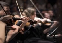 UiPath launches UiPath Maestro Flow, delivering developer-first orchestration for coding agents UiPath launches UiPath Maestro Flow, delivering developer-first orchestration for coding agents (credit image/https://pixabay.com/photos/violins-musicians-orchestra-1838390/Pexels)