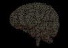 Freshworks Warns AI Complexity is Stalling UK Firms The Digital Artist Brain AI Complexity https://pixabay.com/illustrations/brain-calculation-intelligence-1845943/ Image by Pete Linforth from Pixabay