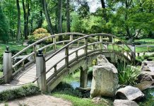 Bridging People, Process, Data, and Technology Silos for Strategic Advantage Bridging People, Process, Data, and Technology Silos for Strategic Advantage - Image by JamesDeMers from Pixabay