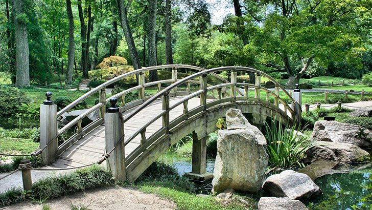 Bridging People, Process, Data, and Technology Silos for Strategic Advantage - Image by JamesDeMers from Pixabay