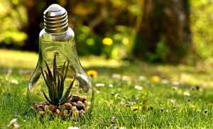 The Emerging Role of the ESG Controller: Does Your Organisation Need One? - Image by Alexa from Pixabay