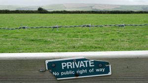 From Partners to Rivals: Protecting Your Company using restrictive covenants - Image by Andrew Martin from Pixabay