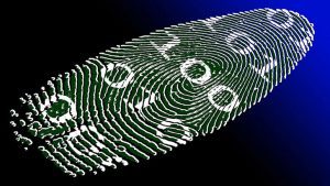 Behavioural biometrics is the key to efficient ID authentication - Image by PublicDomainPictures from Pixabay 