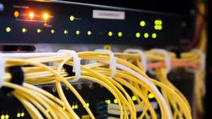 The Rise of Network Infrastructure-as-a-Service - Image by Michal Jarmoluk from Pixabay