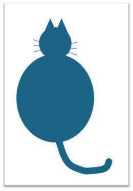 Cat 8
