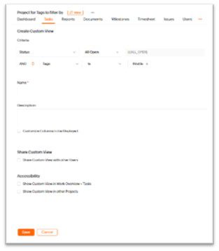 Custom view options