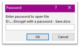 Password to open